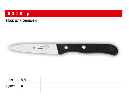 ��� ��� ������ GIESSER